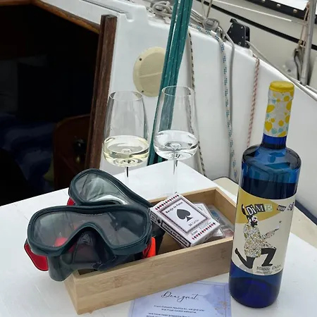 Botel Velero Puma 32 *